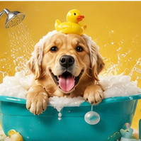 cute pet