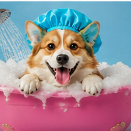 cute pet